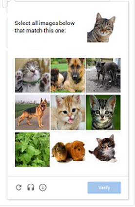 Google CAPTCHA Mobile Shot.png